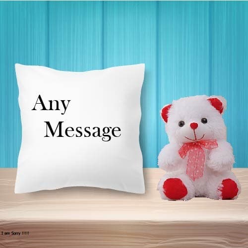 Cuddly Teddy & Message Cushion